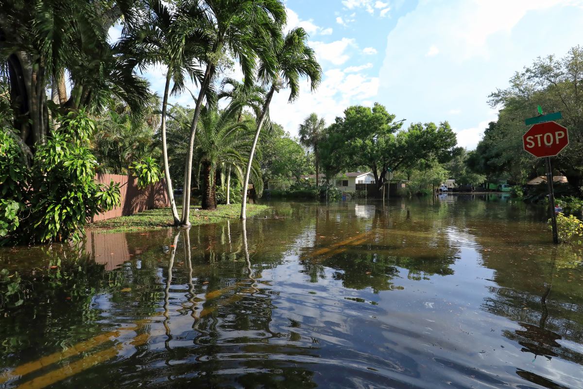 a flooded street in Florida